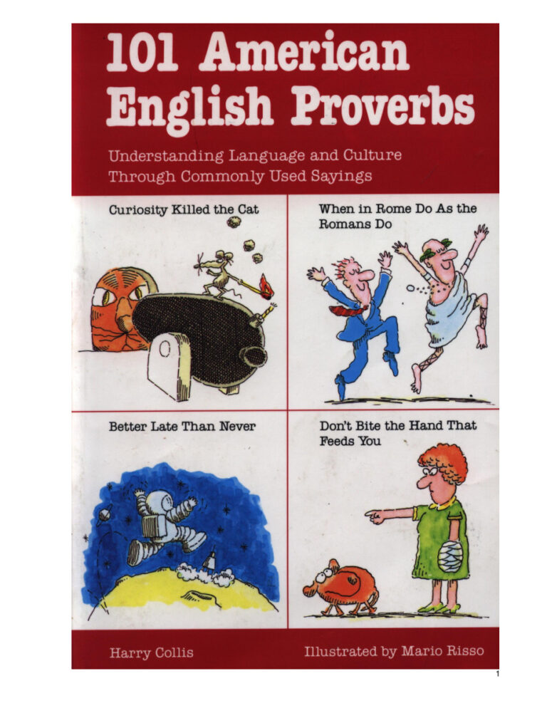 101 American English Proverbs Kitap Kapağı