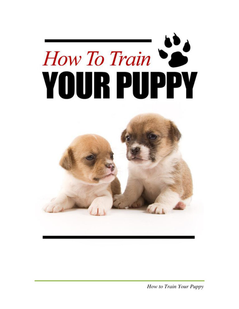 62cdcf9012ef9 how to train your puppy Kitap Kapağı