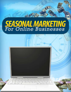 62e0291b16021 seasonal marketing for online businesses Kitap Kapağı
