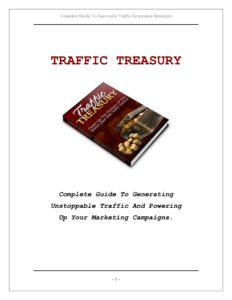 62ed36eb65b89 traffic treasury Kitap Kapağı