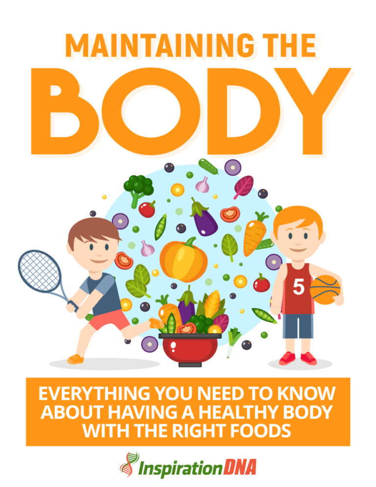 Maintaining the Body PDF – Unknown Author