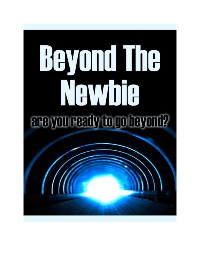 Beyond the Newbie PDF Download – Unknown Author