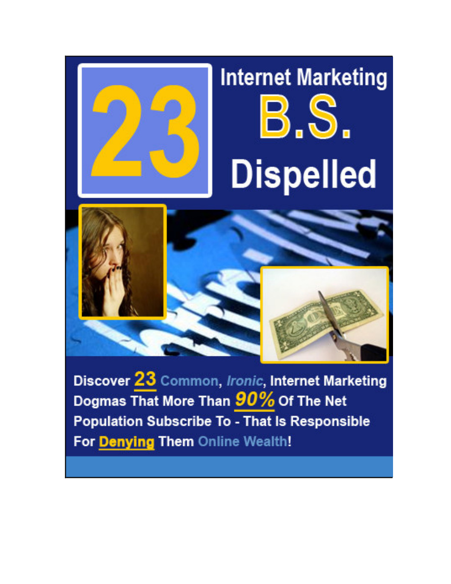 23 Internet Marketing B.S. Dispelled PDF Download