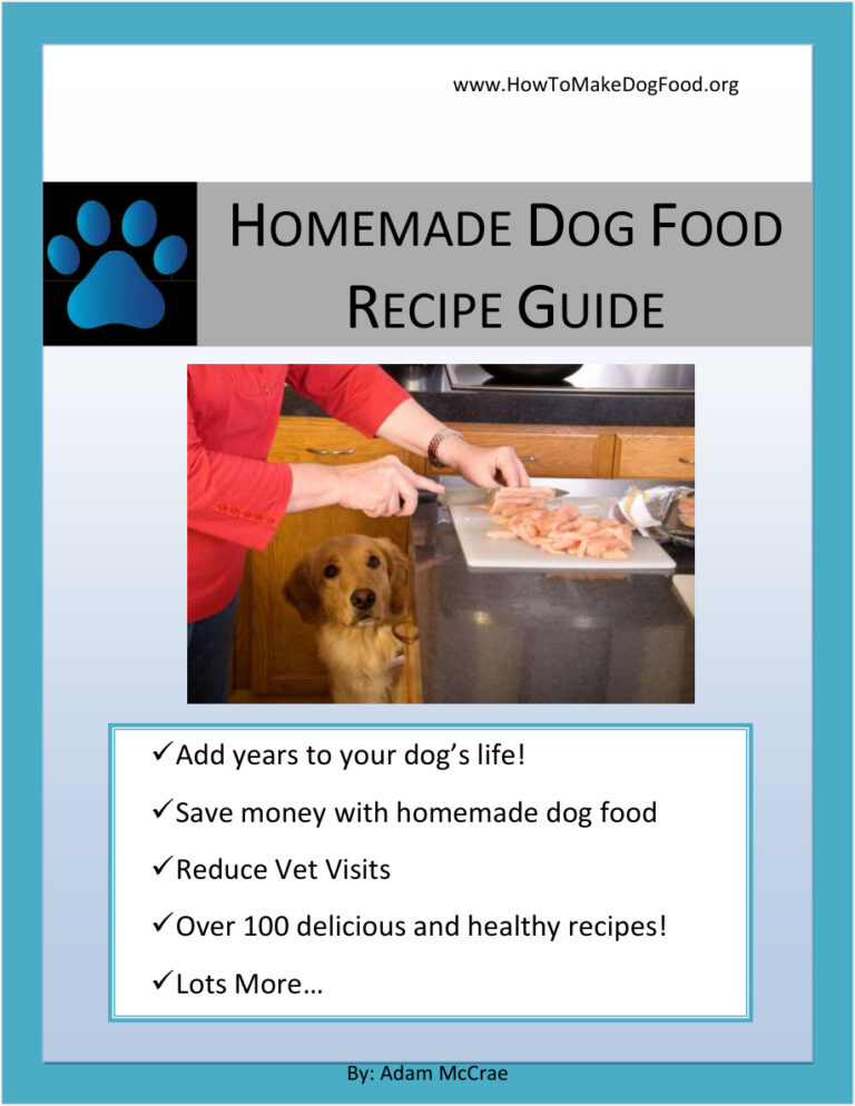 63db97d90073e homemade dog food recipe guide Kitap Kapağı