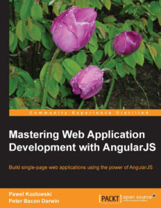 63e2b8240a14f mastering web application Kitap Kapağı
