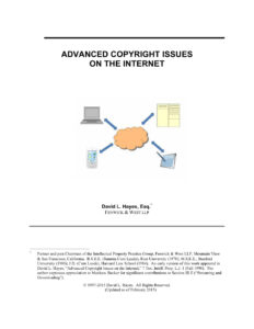 63e56f4c42e67 advanced copyright issues on the internet Kitap Kapağı