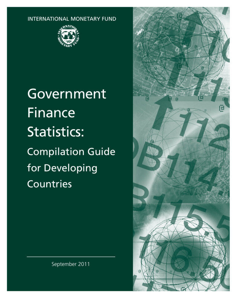 63ee85f55d674 government finance statistics Kitap Kapağı