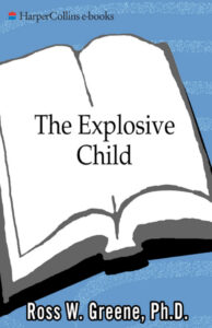 64d013dd80d7d the explosive child Kitap Kapağı