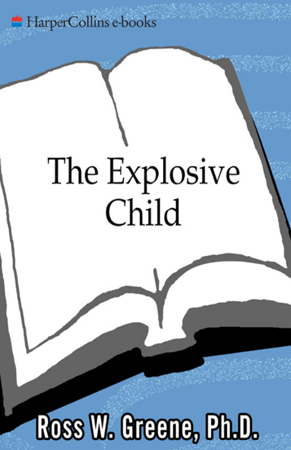 64d013dd80d7d the explosive child Kitap Kapağı