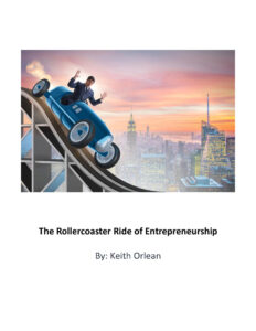 6638083e928bb the rollercoaster ride of entrepreneurship Kitap Kapağı