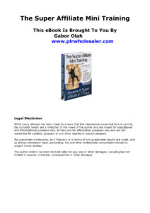665c14b0992fb the super affiliate mini training Kitap Kapağı