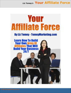665c22f2a33f2 your affiliate force Kitap Kapağı