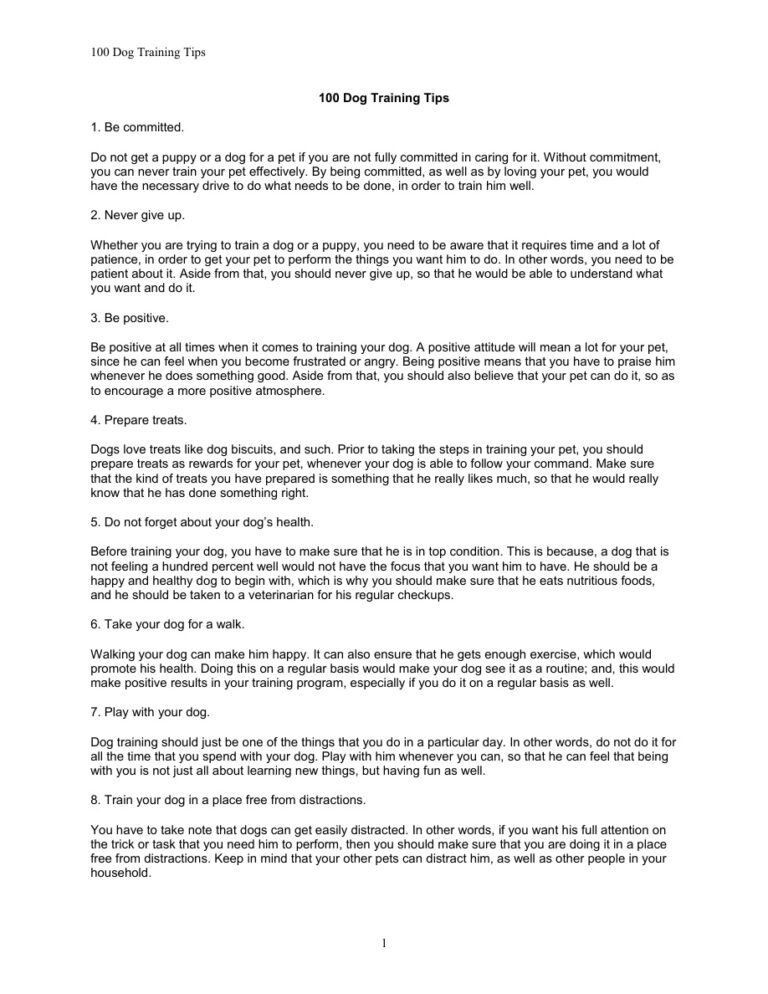 665db5073d355 100 dog training tips Kitap Kapağı