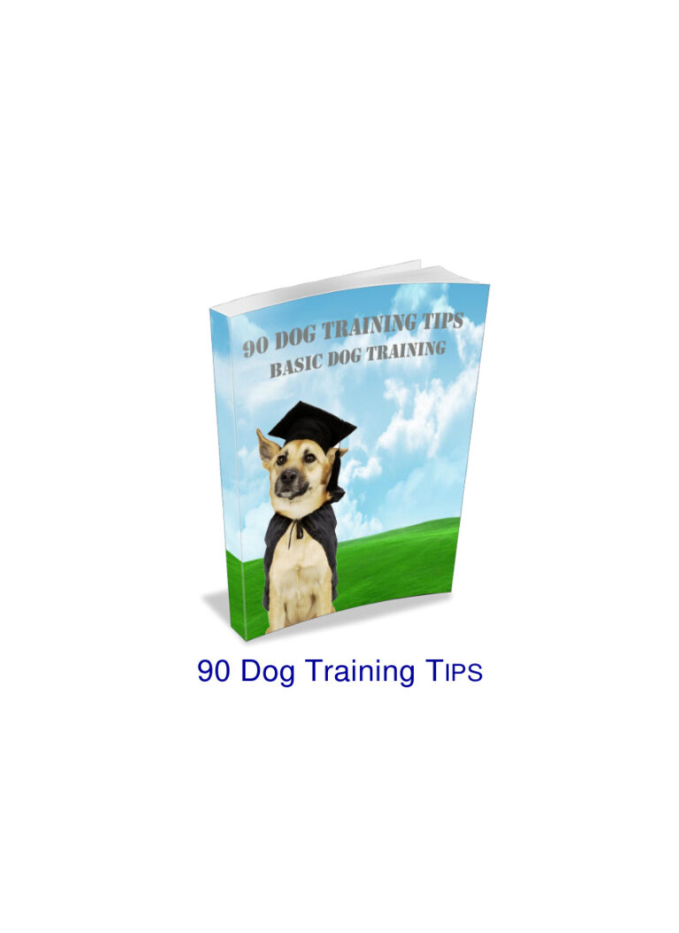 665db55da5d3f 90dogtrainingtips Kitap Kapağı