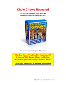 665db8cbe46b0 chow chow book Kitap Kapağı