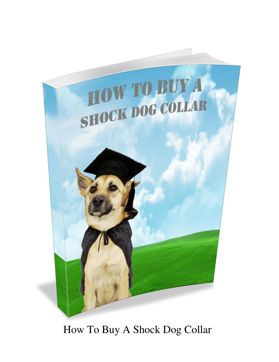 Buying a Shock Dog Collar PDF Download