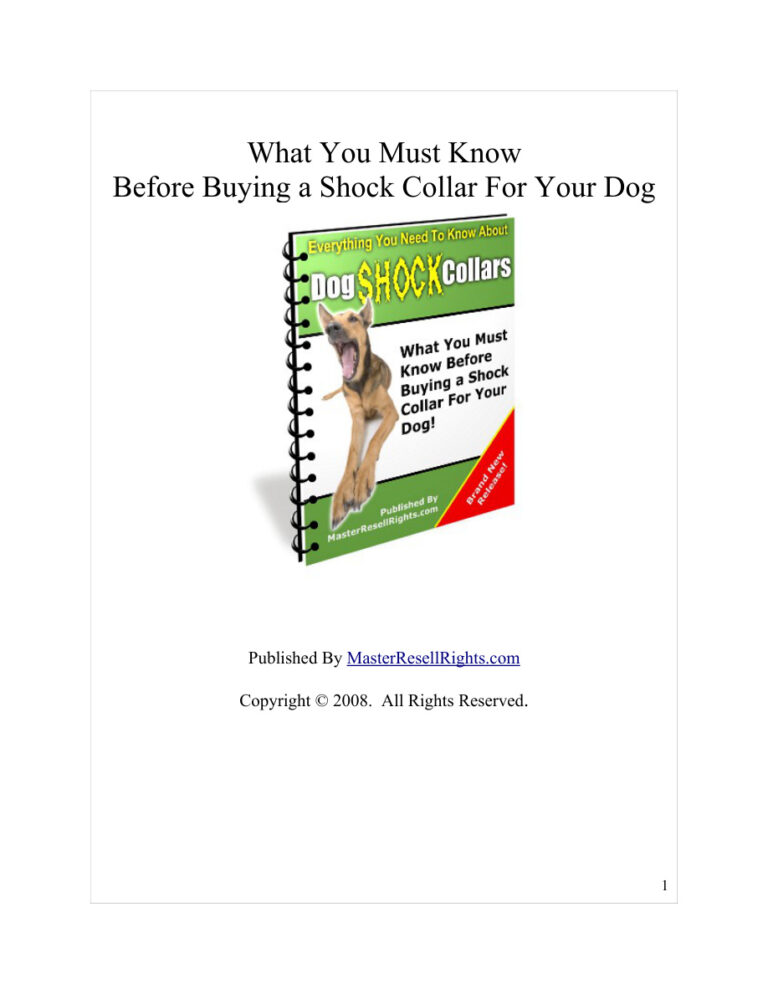 665dbbb4738f2 what you must know before buying a shock collar for your dog Kitap Kapağı