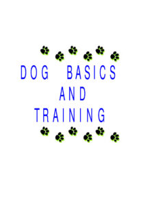 665dbdda4cbd2 dog basics and training Kitap Kapağı