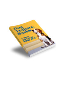 6661f0911c201 dog training basics Kitap Kapağı