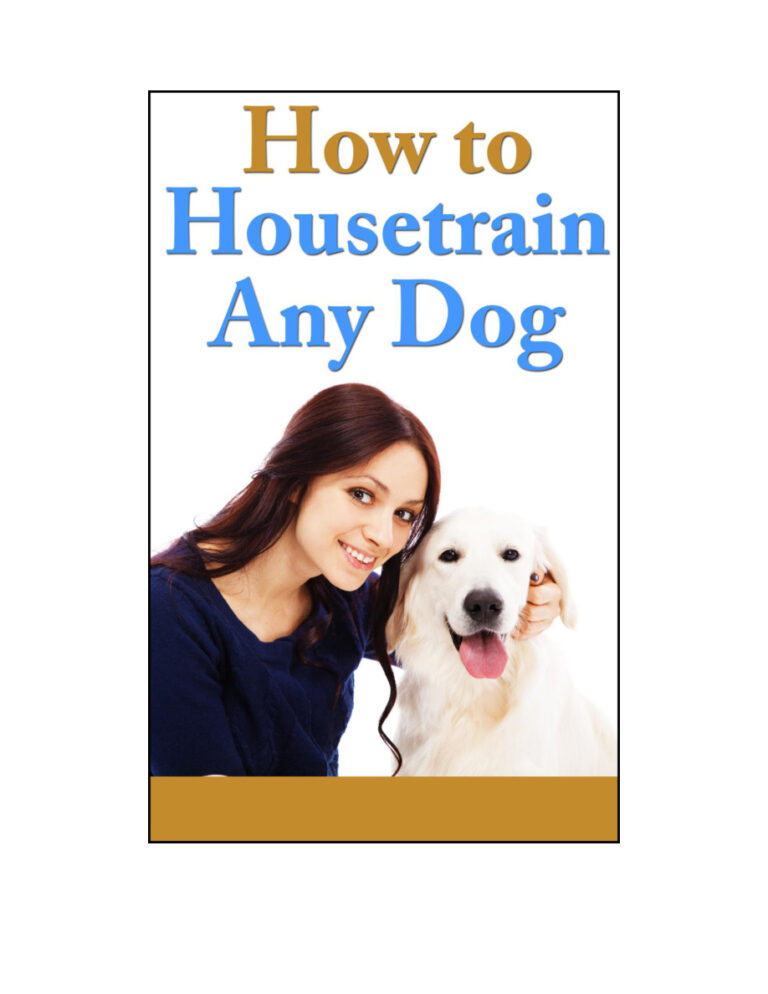 6661fb16add1f how to housetrain any dog Kitap Kapağı
