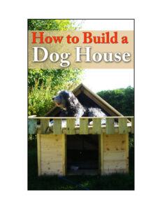 6661fd256a1e5 how to build a dog house Kitap Kapağı