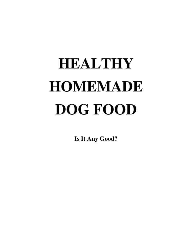 Healthy Homemade Dog Food PDF Download – Unknown Author