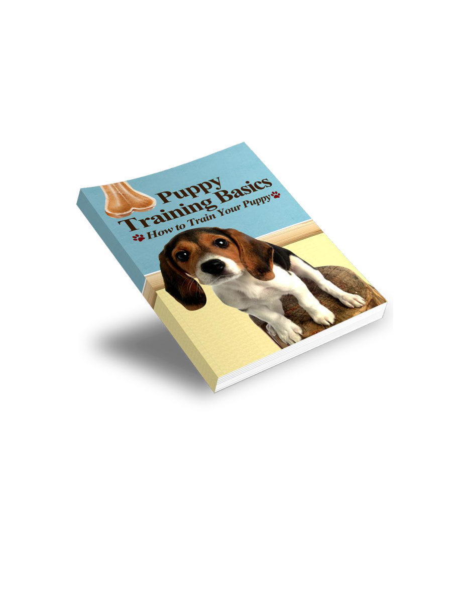Puppy Training Basics PDF Download