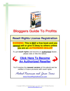 66633d272574a bloggers guide to profits Kitap Kapağı