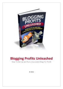 66636d0aca405 blogging profits unleashed Kitap Kapağı
