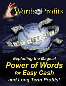 6663fedb6a743 words to profits Kitap Kapağı