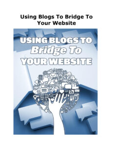 66643e2269c22 using blogs to bridge to your website Kitap Kapağı