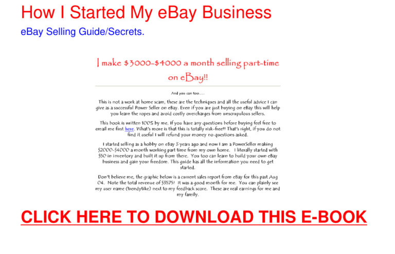 How I Started My eBay Business PDF Download – Unknown Author
