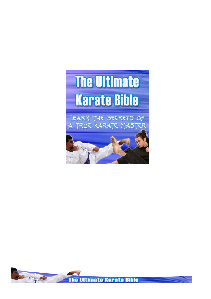 The Ultimate Karate Bible PDF Download