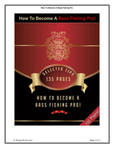 66e2225a33c58 how to become a bass fishing pro Kitap Kapağı