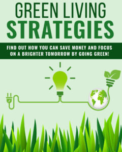 66eb033410282 green living strategies Kitap Kapağı