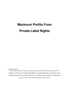 68090859333c1 7 simple steps to plr profits want work hard or smart Kitap Kapağı
