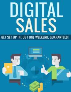 6809150dedb3a digital sales get set up in just one weekend guaranteed Kitap Kapağı