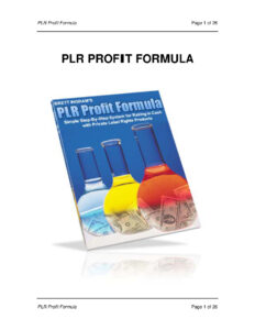 680a4dea51b21 plr profit formula simple step by step system for ranking in cash with private label right product Kitap Kapağı