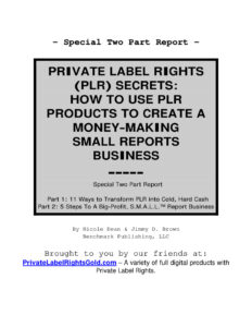 680a61ed634f9 private label rights plr secrets how to use plr products to create a money making small reports business Kitap Kapağı