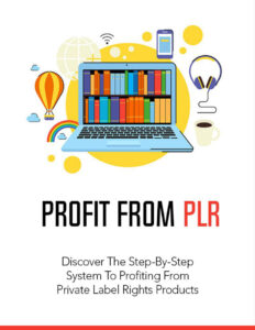 680a66d03e000 profits from plr discover the step by step system by profiting from private label right product Kitap Kapağı