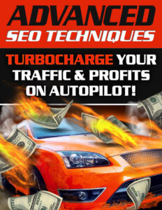6813f35106ee4 advance seo techniques turbocharge your traffic and profits on autopilot Kitap Kapağı