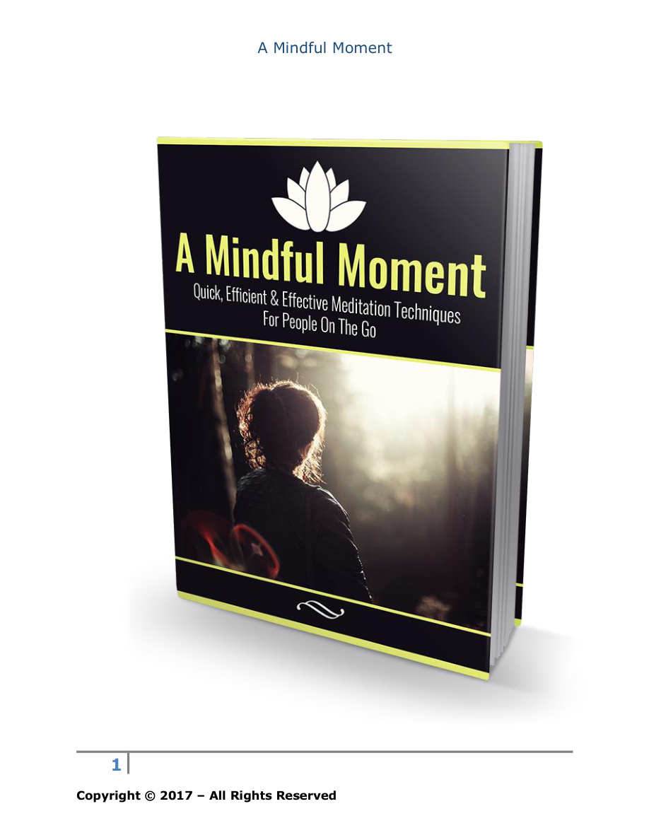 A Mindful Moment PDF Download
