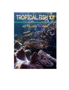 68176782d9952 tropical fish 101 all you need to know Kitap Kapağı