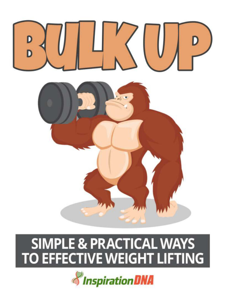 Bulk Up PDF Download – Unknown Author