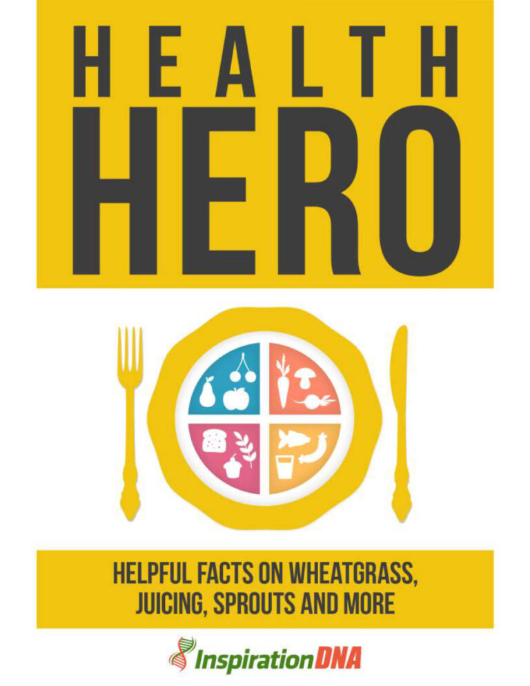 Health Hero PDF Download – Unknown Author