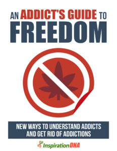 681b9e8d77d0d an addict s guide to freedom new ways to understand addicts and get rid of addictions Kitap Kapağı