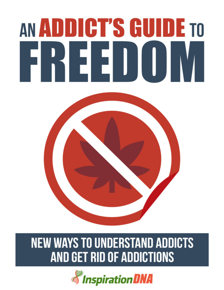 An Addict’s Guide to Freedom PDF Download – Unknown Author