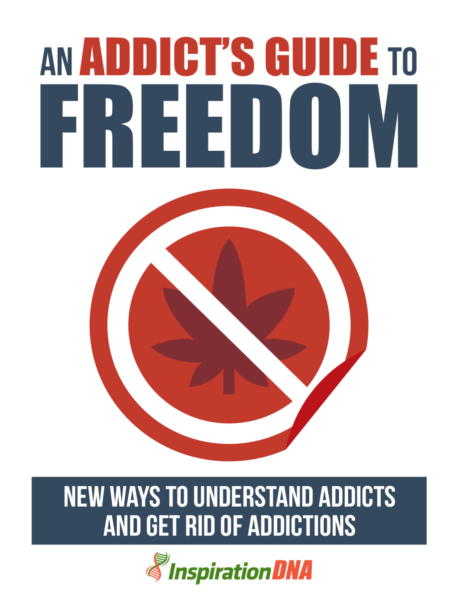 An Addict's Guide to Freedom PDF Download