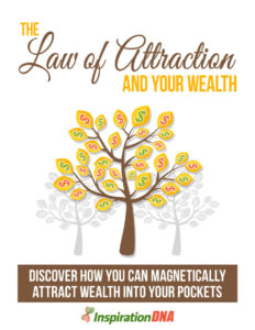 681cede55e7d6 the law of attraction and your wealth discover how you can magnetically attract wealth into your pockets Kitap Kapağı