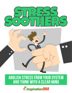 681eecbc056ef stress soothers abolish stress from your system and think with a clear mind Kitap Kapağı